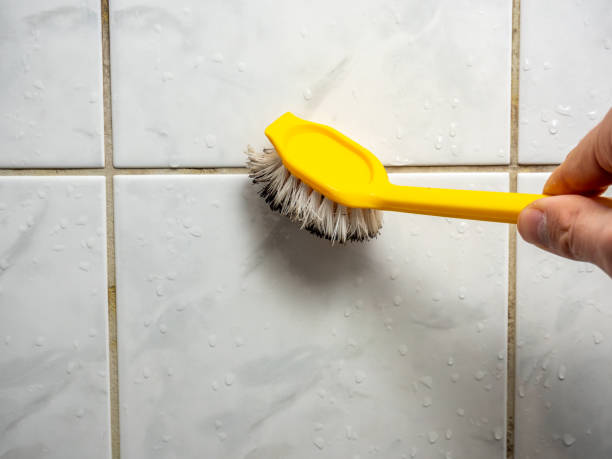 Best Mold Testing and Inspection Services in Bloomington, IL