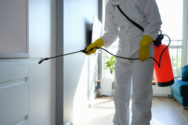 Best Mold Testing and Inspection Services in Bloomington, IL