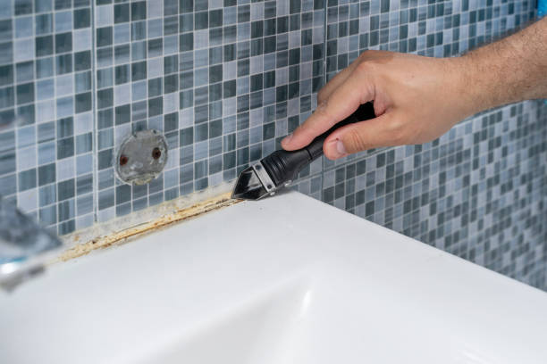 Bloomington, IL Mold Remediation Company